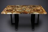 Polished Triassic Petrified Wood Coffee Table #303666-2